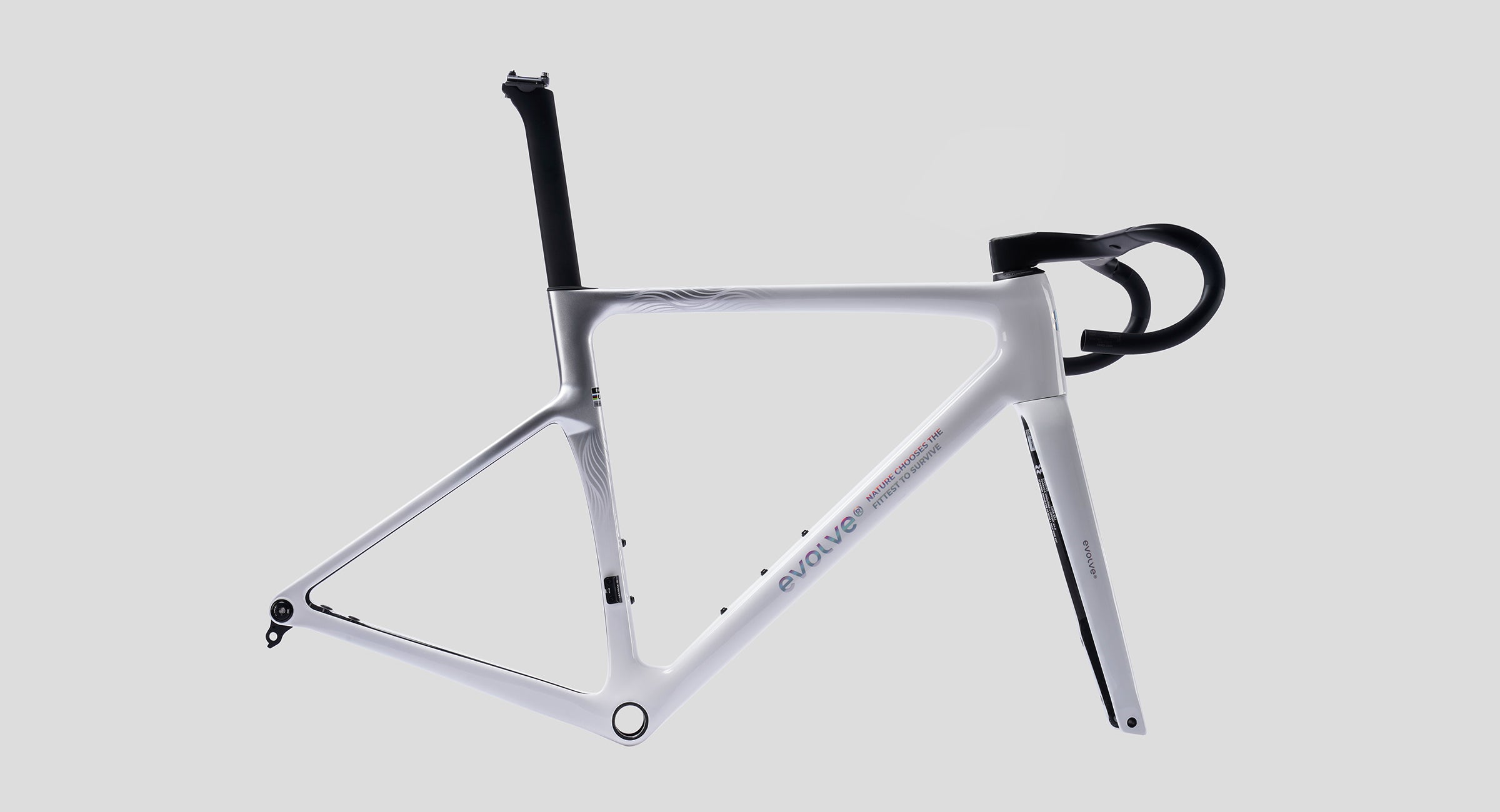 evolve CIMA Frameset