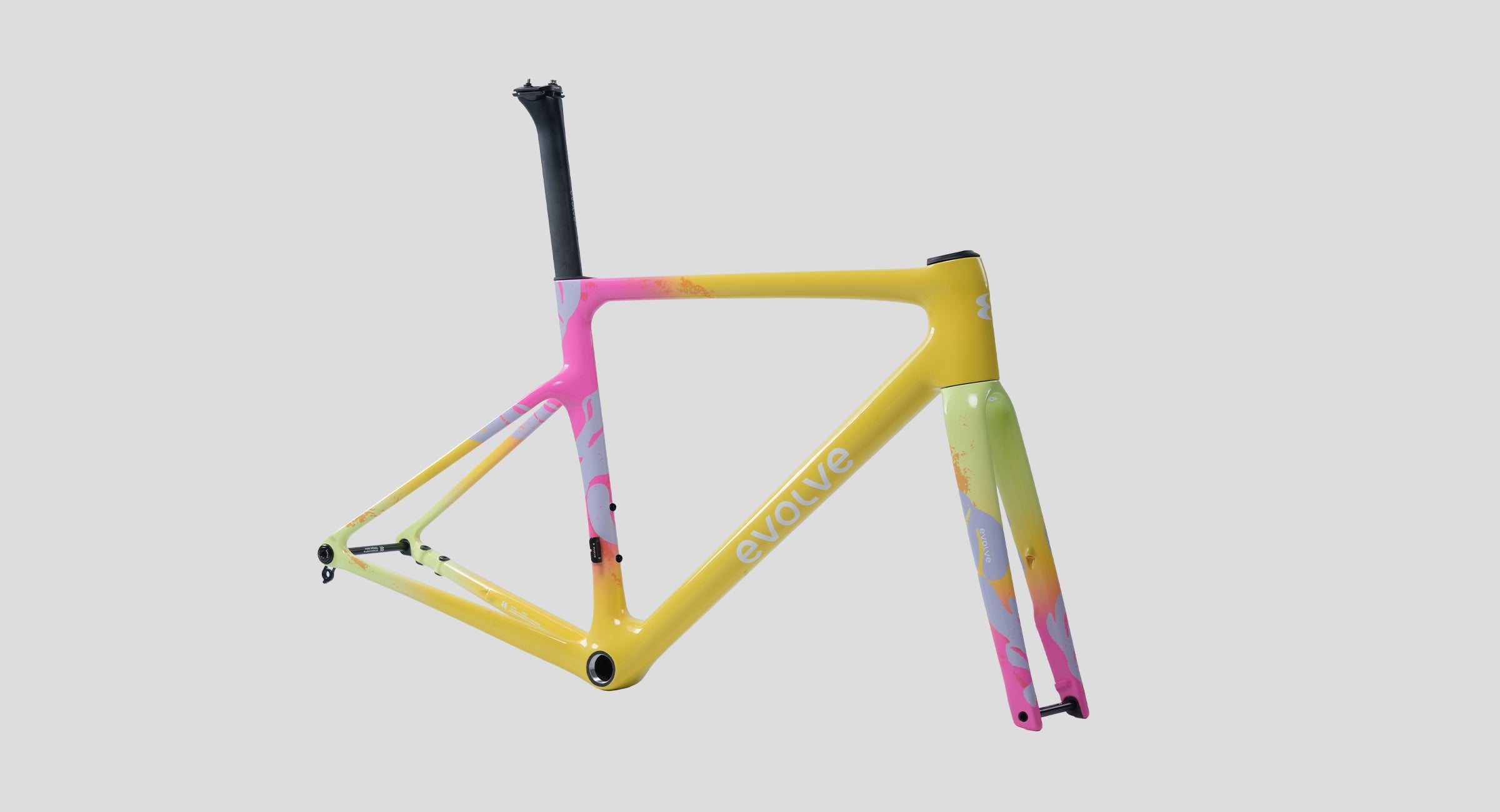 evolve CIMA Frameset
